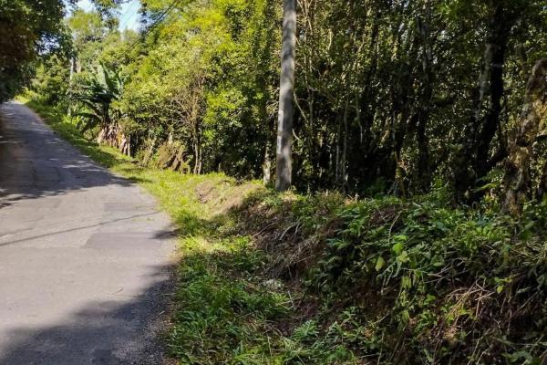 7,843 m² lot for sale in volcancito arriba