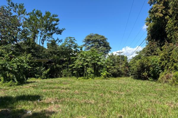Venta de propiedad, terreno en coronado