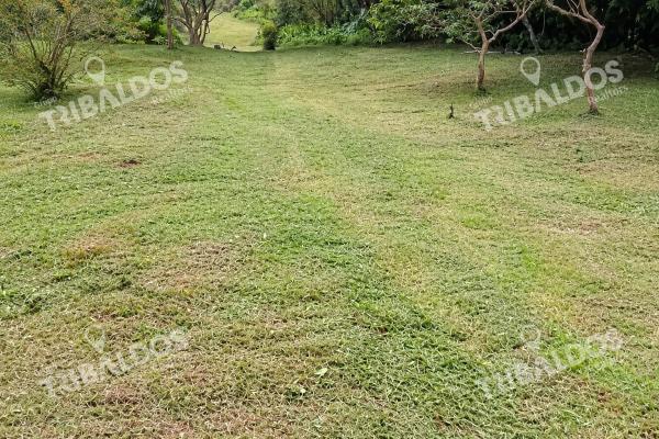 Venta de terreno ecoturístico a 8km de el pueblo de el valle de antón