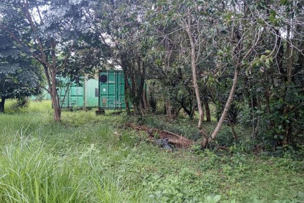 Amplio terreno plano de 9.229 m² en alto boquete