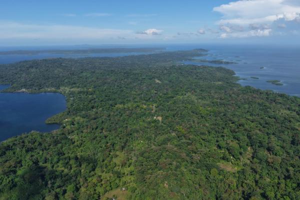 10 hectares of titled waterfront in tierra oscura