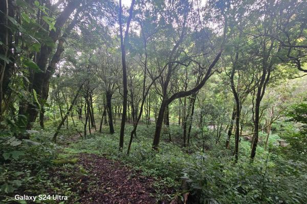 Terreno de 6,9 ha junto a boquete country club — venta de globo entero
