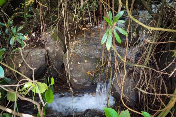 1.28-acre lot sale in potrerrillos, dolega
