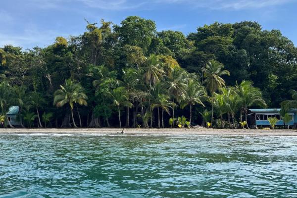 Casa frente al mar fuera de la red en venta