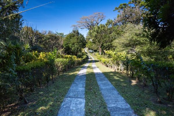 Luxury estate lot jaramillo with barú views
