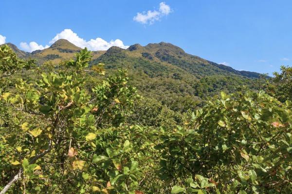Venta de terreno en punta chame, nueva gorgona