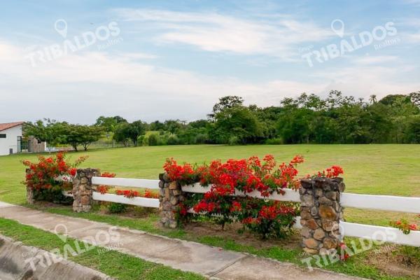 Venta de terreno en punta barco village