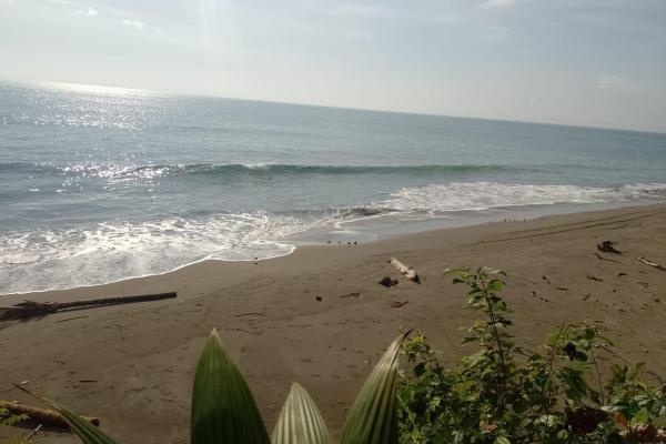 Land 172 acres in puerto armuelles, limones io