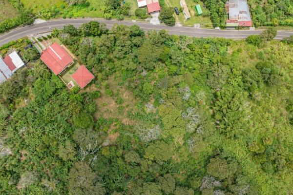 Flat coffee land with mountain views in palmira
