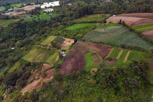 Tierras montañosas en boquete, panamá