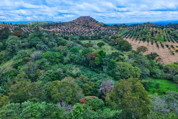 55.74 hectares of paradise in the mountains