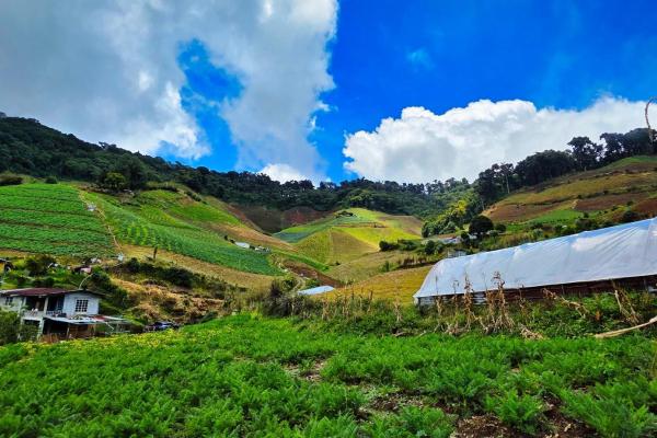 Finca agrícola en venta – cerro punta, chiriquí