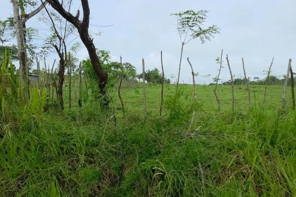 Monte viejo terreno en venta