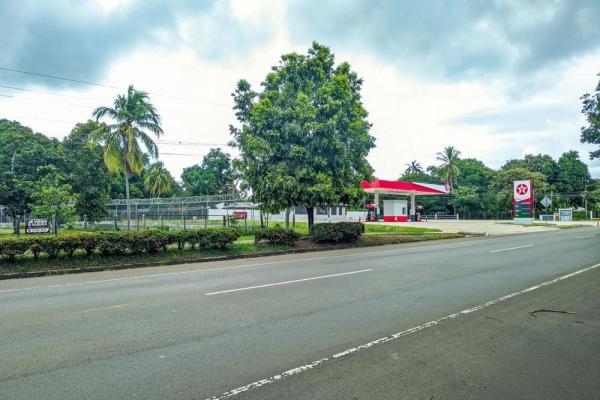 Roadside property with 2,906 m² in dolega