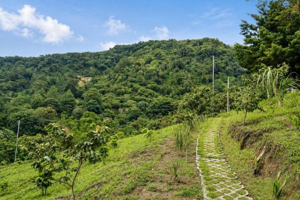 Cabaña con vistas al volcán barú en venta en jaramillo