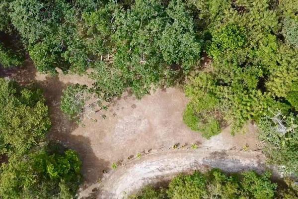 Finca de 4.3 hectareas – proyecto ideal comunidad