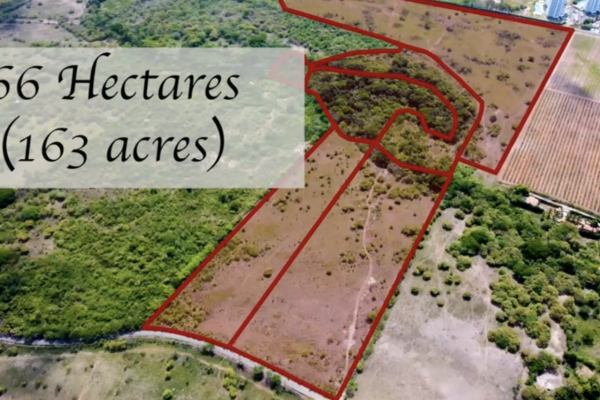 Sale of land in playa blanca