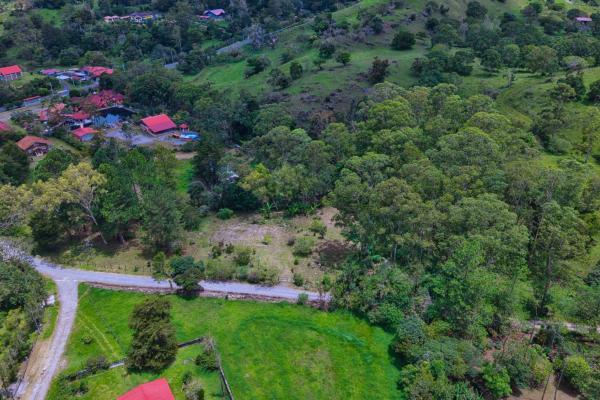Land with a natural creek
