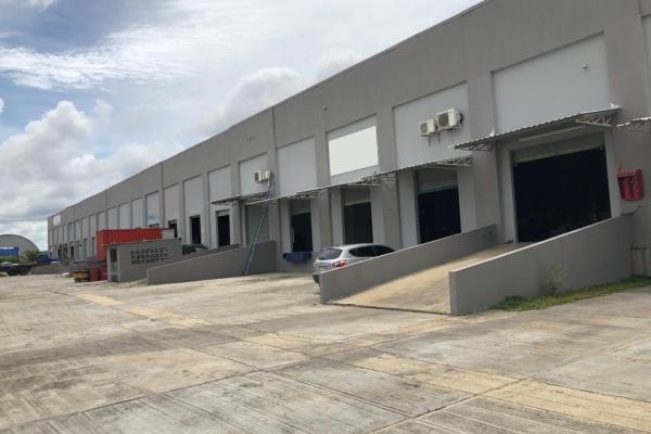 Warehouses for sale or rent in pacora