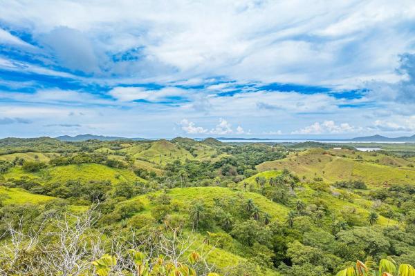 6-hectare hill property for sale in boca chica