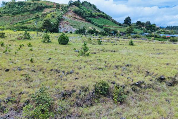 Large residential lot for sale – paso ancho