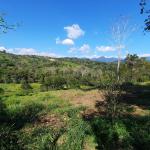 Farm for sale. renacimiento monte lirio, palmarito