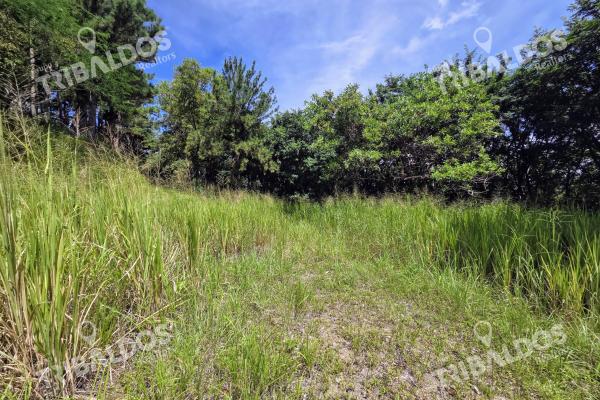 Venta de terreno en sora bejuco