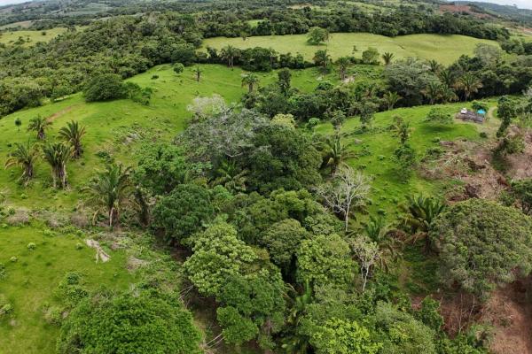 Se vende terreno para desarrollo residencial en el trapichito, la chorrera