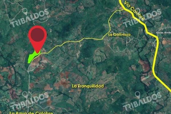Finca ideal para siembra de caña en la raya de calobre, veraguas