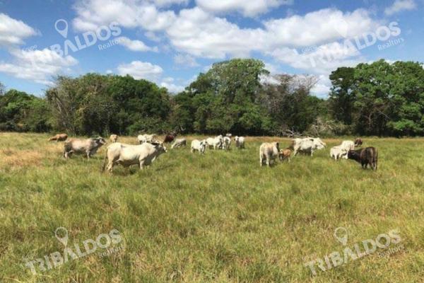 Venta de finca agrícola en ocú