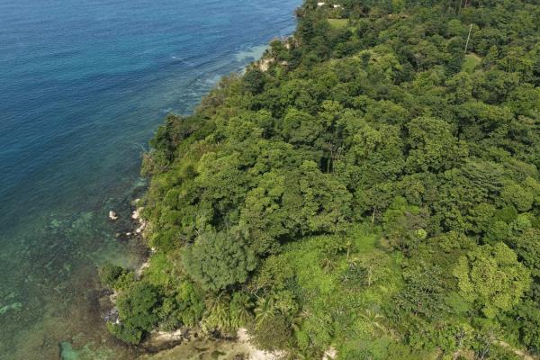 Propiedad boscosa frente al mar de 2,4 hectáreas en drago