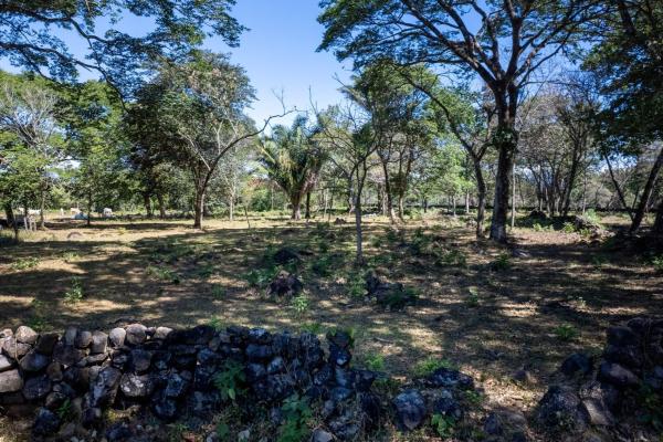 15 hectares fertile land potrerillos, chiriqui