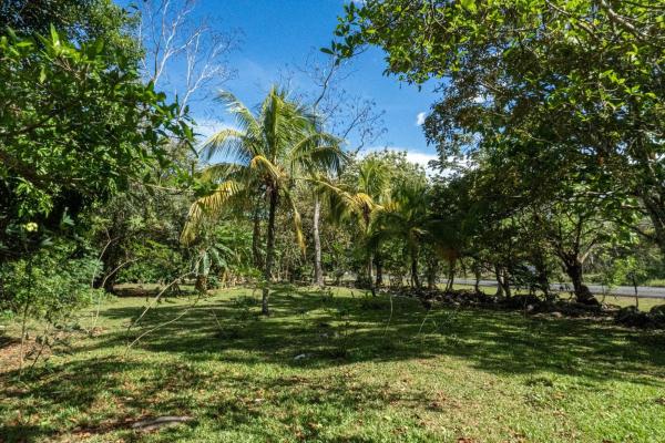 Potrerillos panama land opportunity