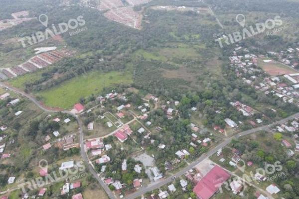 Venta de terreno para desarrollo de casas en arraijan