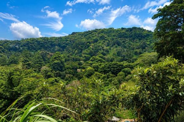 Cabaña con vistas al volcán barú en venta en jaramillo
