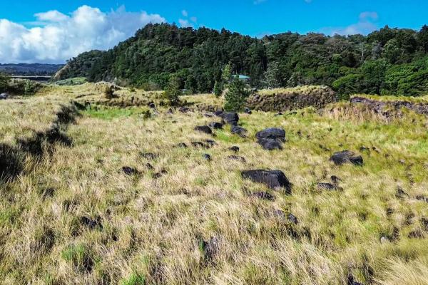 Serene flat land for sale with mountain views