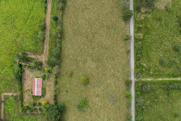 Prime flat land for sale in cochea abajo, david
