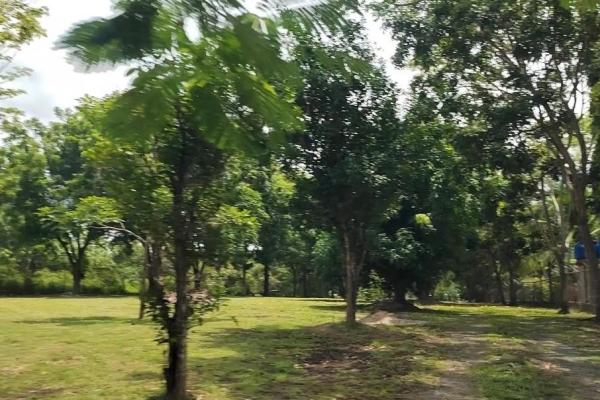 Espectacular propiedad campestre con piscina en cabuya, chame