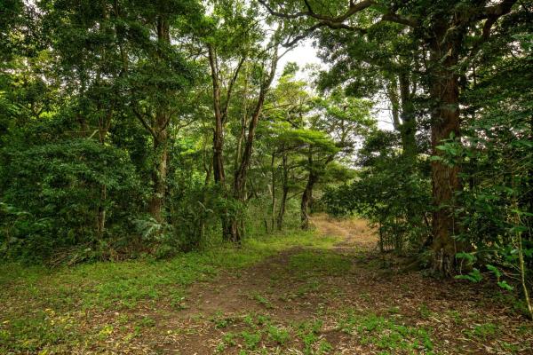 Terreno panorámico en boquete, panamá