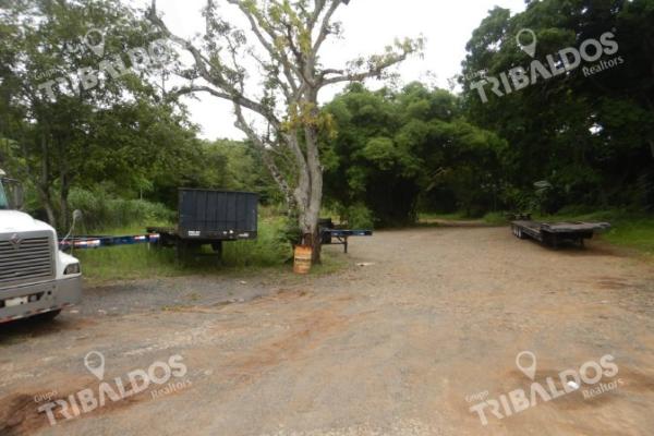 Sale of land in arraiján