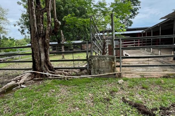 Farm with residence in ocú