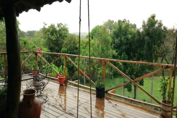 Farm in san carlos