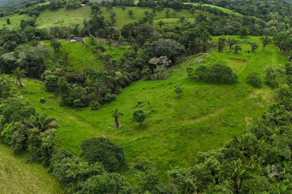 Se vende terreno para desarrollo residencial en el trapichito, la chorrera