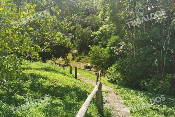 Venta de terreno en rio hato