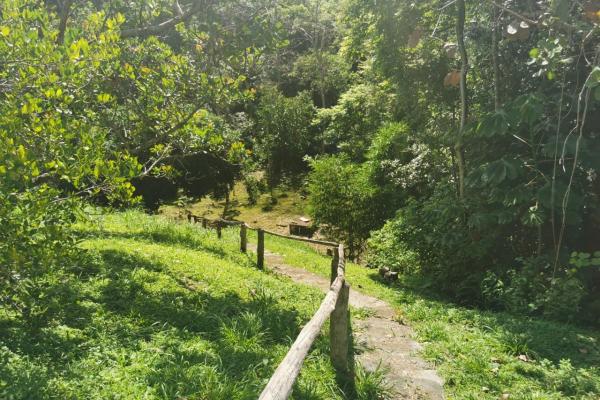Venta de terreno en rio hato