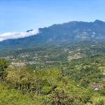 Lote con vista a la montaña en venta en jaramillo, boquete