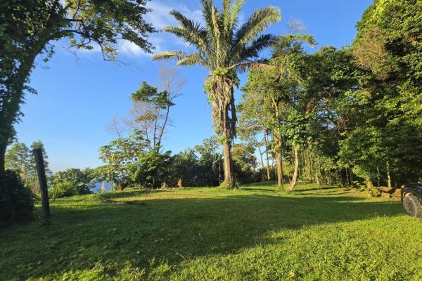 Vista de ensueño del mar y la jungla de drago