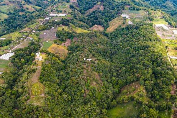 Finca cafetalera en venta en potrerillos arriba
