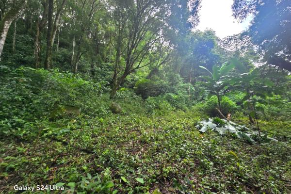 Terreno de 6,9 ha junto a boquete country club — venta de globo entero