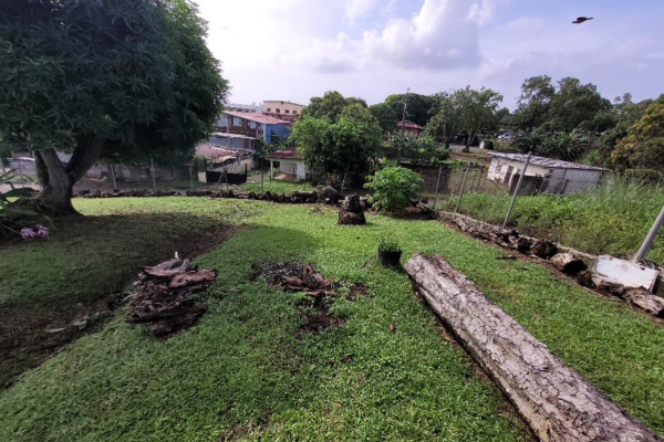 Sale of land with improvements in pueblo nuevo